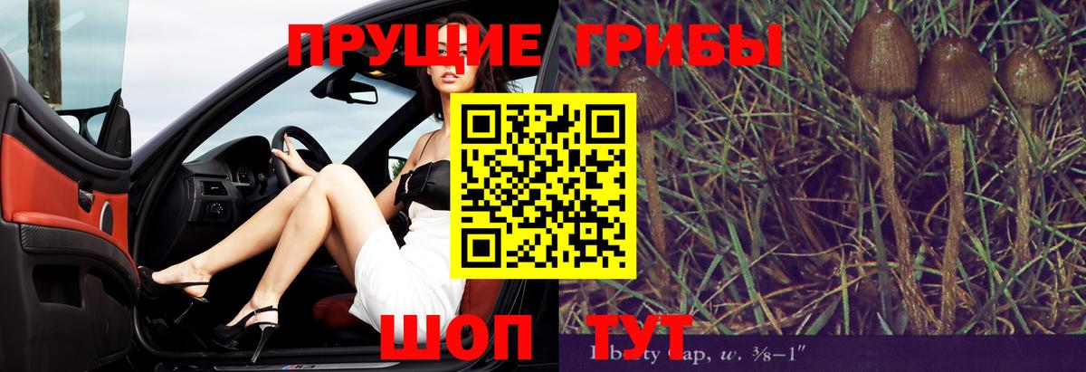 Псилоцибиновые грибы MAGIC MUSHROOMS  Вход с VPN  Галлюциногенные грибы Magic Shrooms  Бугуруслан 
